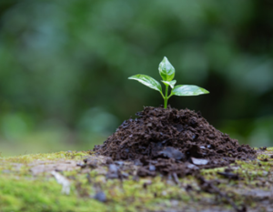 Frost & Sullivan Institute Global Priorities