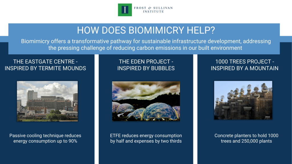 How does biomimicry help?