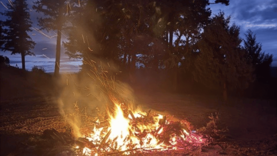 The Fireside