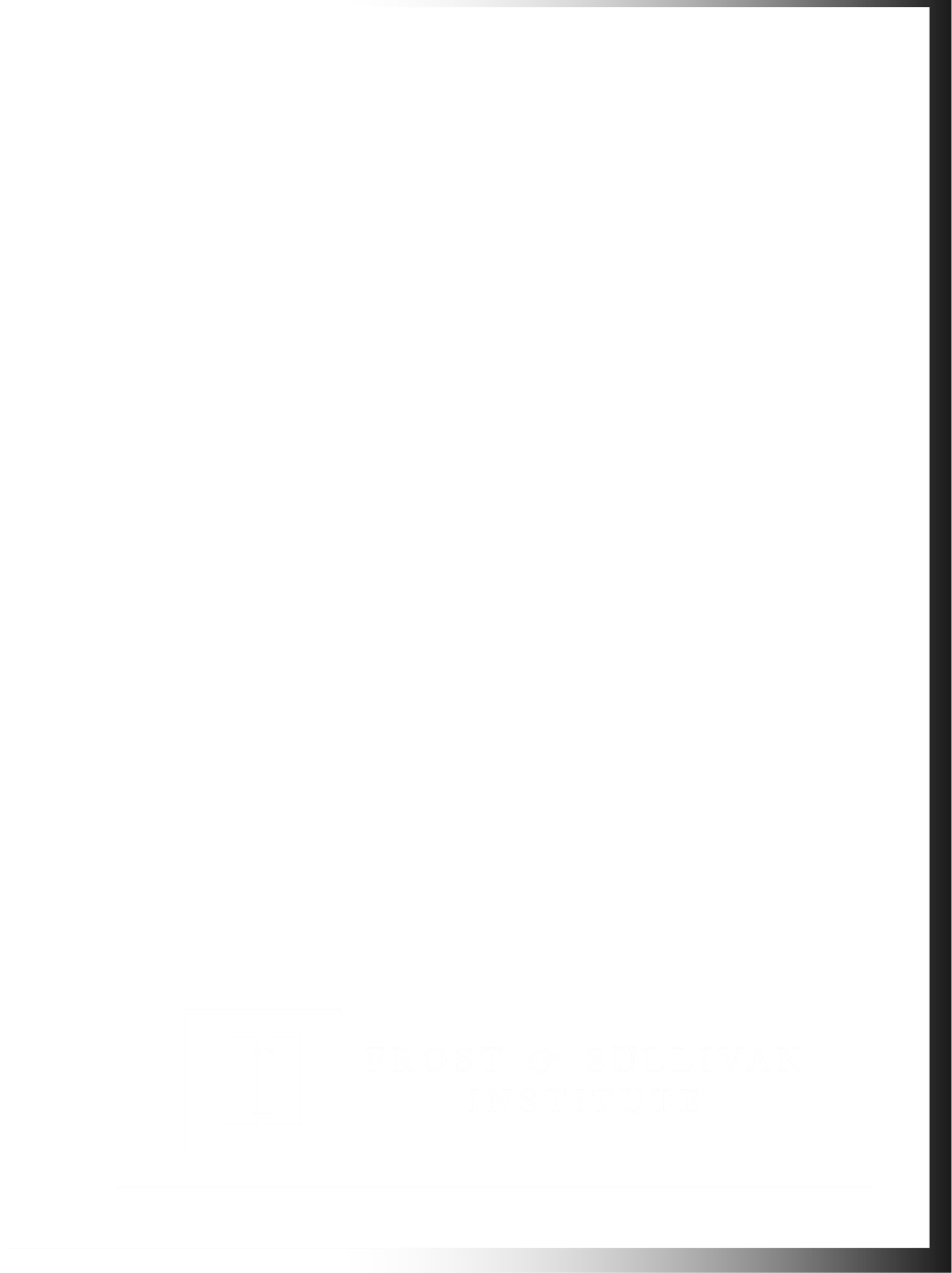 Visionary Leadership Emerging Companies 2025