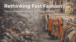 Rethinking Fast Fashion - The Environmental Cost of Cheap Clothes