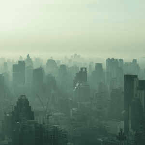 Urban Air Pollution and Economic Development in India