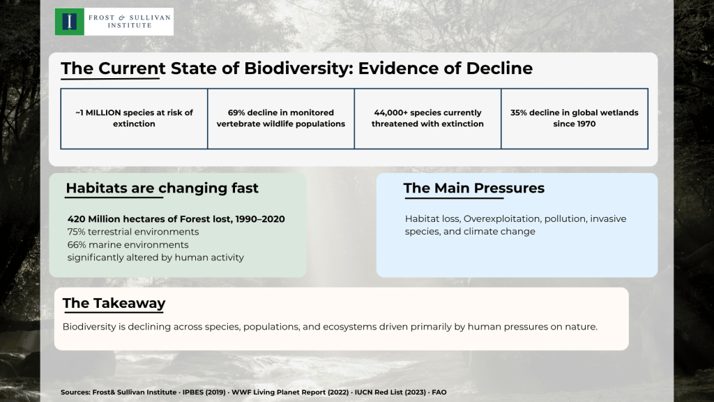 The Current State of Biodiversity